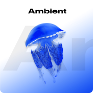 Illustration of ambient widged